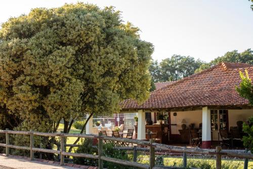 boutique hotels in Alentejo