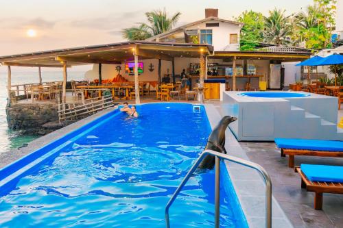 boutique hotels in Puerto Villamil