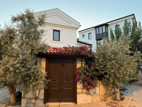 boutique hotels in Selcuk