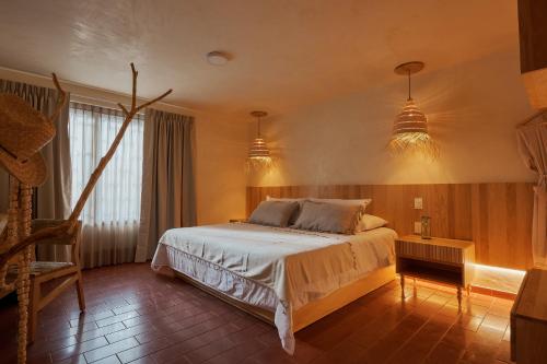 boutique hotels in Oaxaca City