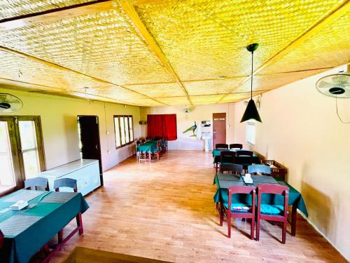 boutique hotels in Sauraha