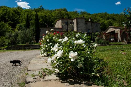 boutique hotels in Arezzo Area