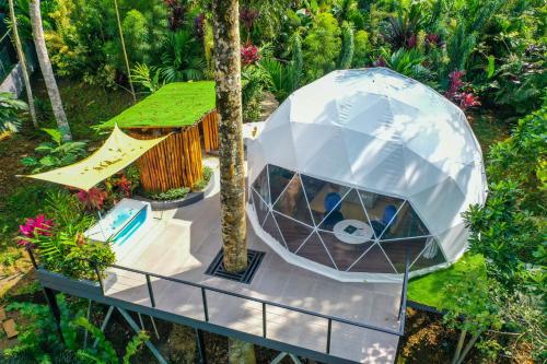 boutique hotels in Arenal Volcano National Park