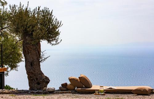 boutique hotels in Assos