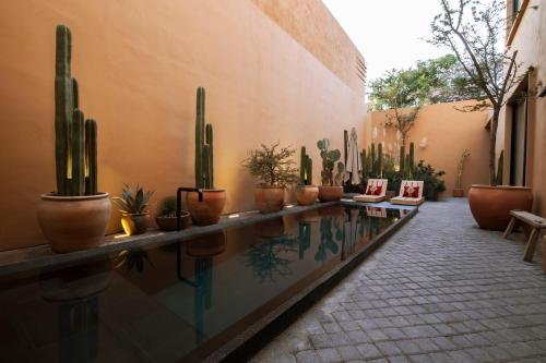 boutique hotels in Oaxaca City