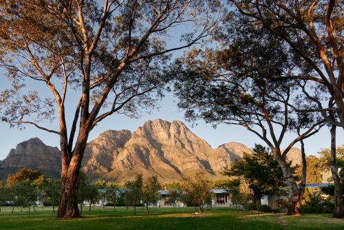 boutique hotels in Stellenbosch