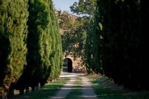 boutique hotels in Montalcino