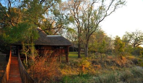 boutique hotels in Manyeleti Game Reserve