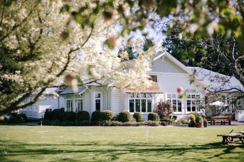 boutique hotels in North Island