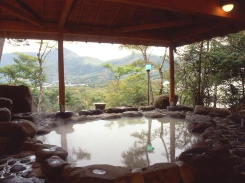 boutique hotels in Hakone