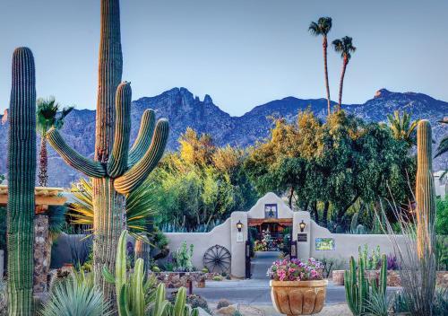 boutique hotels in Tucson