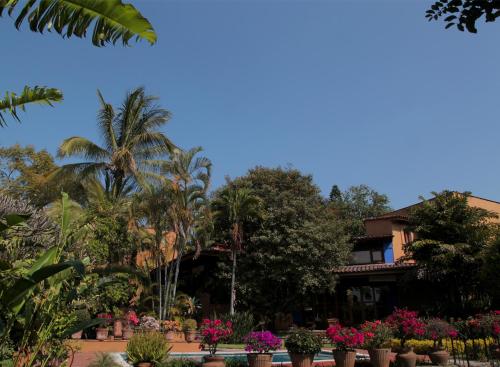 boutique hotels in Xochitepec