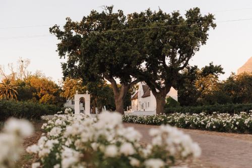 boutique hotels in Franschhoek