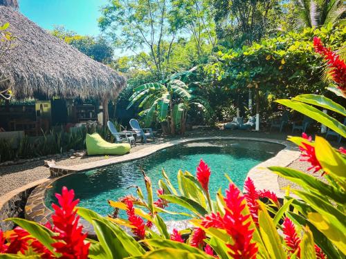 boutique hotels in Tamarindo