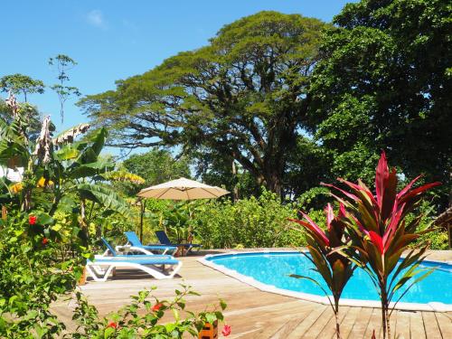 boutique hotels in Bocas Town