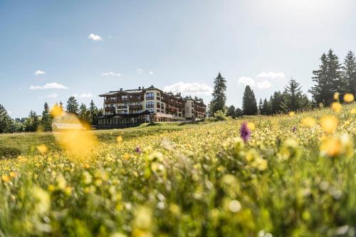 boutique hotels in Alpe Di Siusi