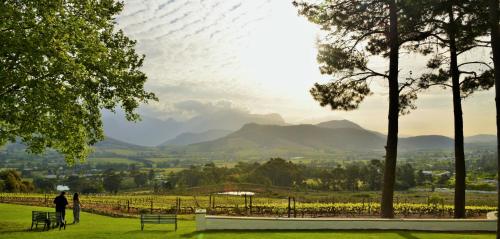 boutique hotels in Cape Winelands