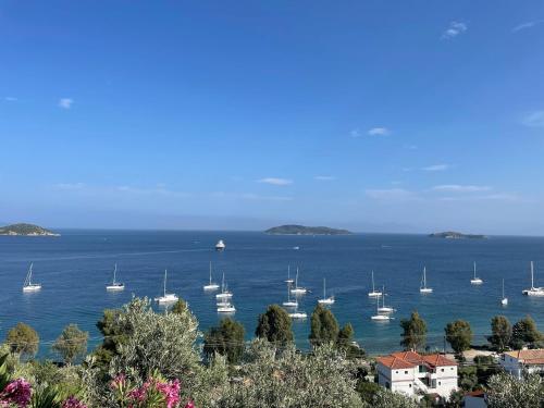 boutique hotels in Skiathos Town