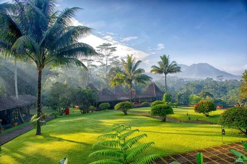 boutique hotels in Borobudur