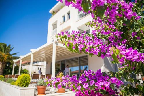 boutique hotels in Kotor Bay