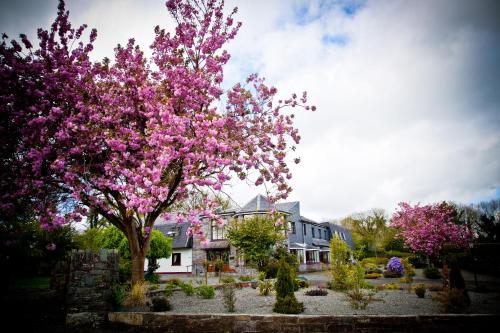 boutique hotels in Killarney