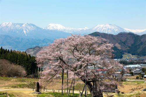 boutique hotels in Yamanouchi