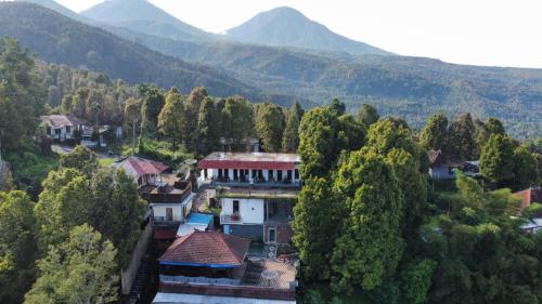 boutique hotels in Buleleng