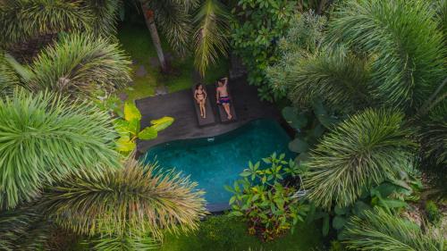 boutique hotels in Ubud