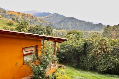 boutique hotels in Tolima