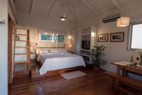 boutique hotels in Nosara