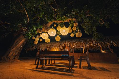 boutique hotels in Yala National Park