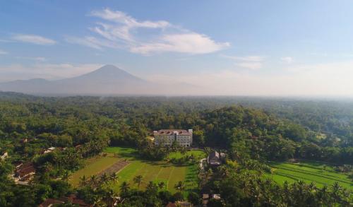 boutique hotels in Borobudur