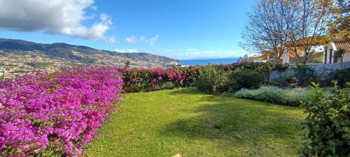 boutique hotels in Funchal