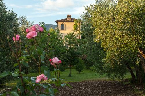 boutique hotels in Firenze Area