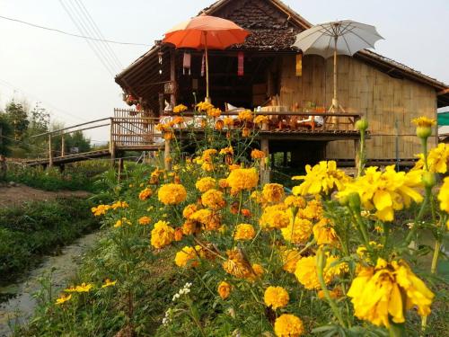 boutique hotels in Mae Hong Son