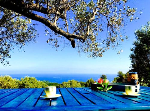 boutique hotels in Cilento Coast