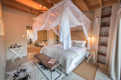 boutique hotels in Balule Game Reserve