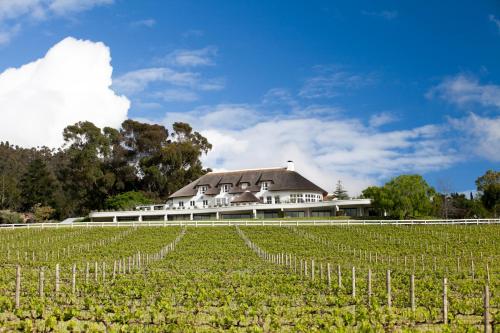 boutique hotels in Franschhoek