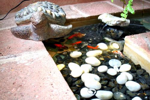 boutique hotels in Querétaro