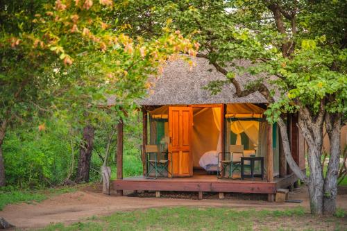 boutique hotels in Manyeleti Game Reserve