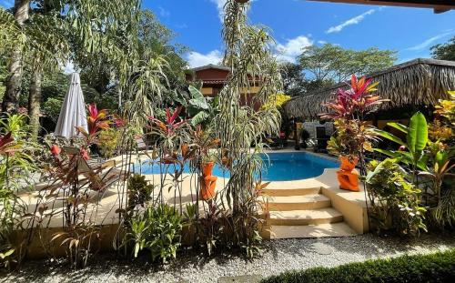 boutique hotels in Nosara