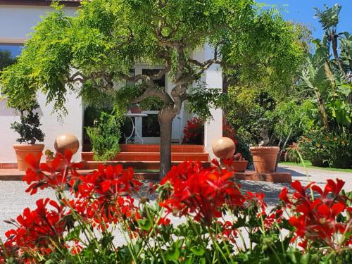 boutique hotels in Alghero