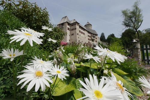 boutique hotels in Reith Im Alpbachtal