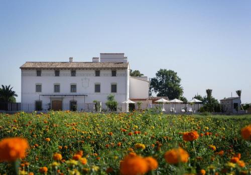 boutique hotels in Valencia Province