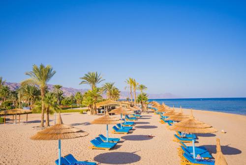 boutique hotels in South Sinai