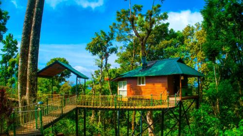 boutique hotels in Periyar National Park