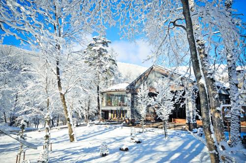 boutique hotels in Hakuba