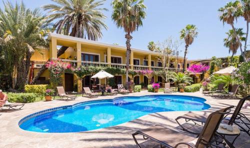 boutique hotels in Los Cabos