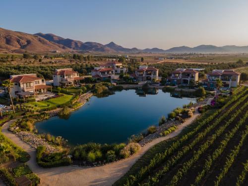 boutique hotels in Baja California