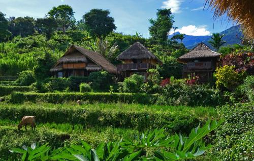 boutique hotels in Lombok